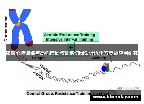 体育心肺训练与高强度间歇训练协同设计优化方案及应用研究